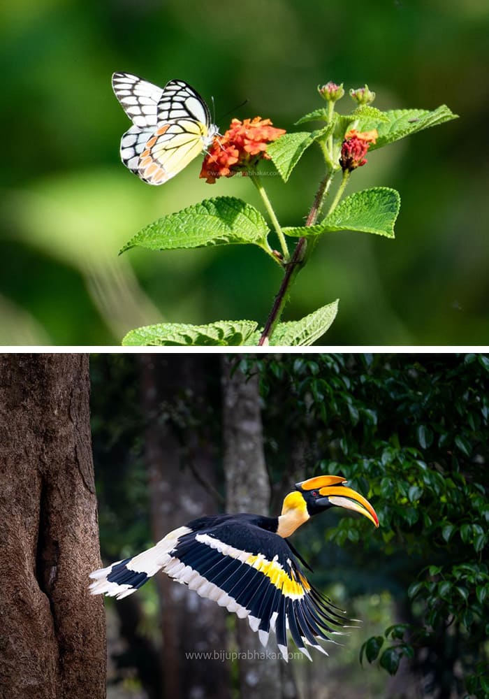 home-carousal-photo (1)