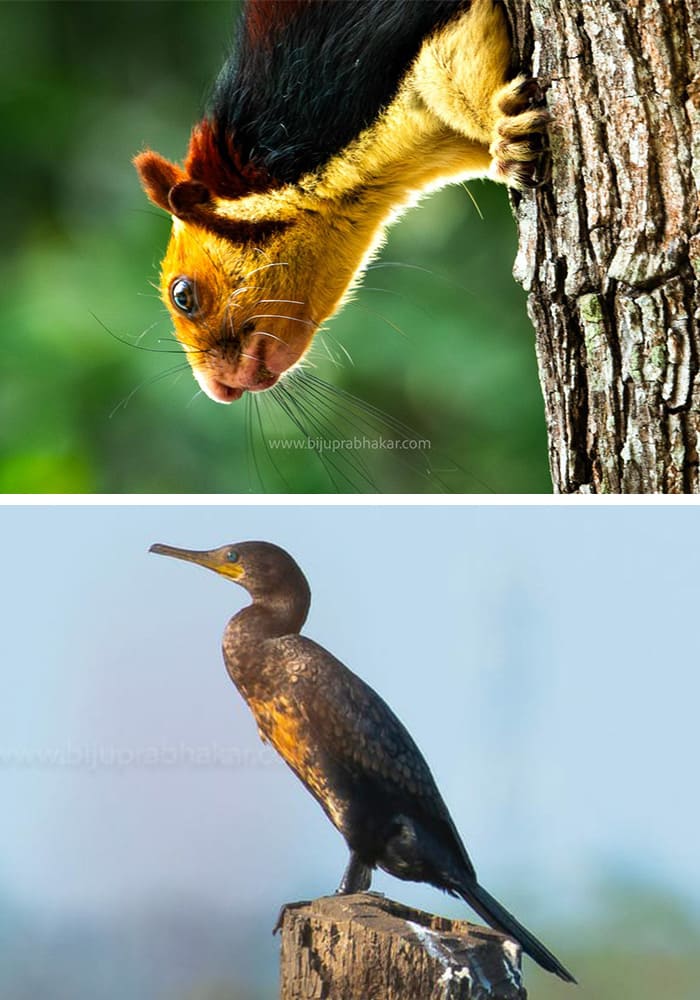 home-carousal-photo (2)