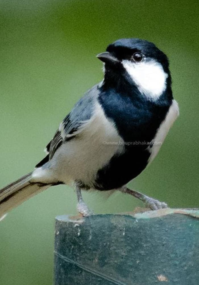 home-carousal-photo (3)