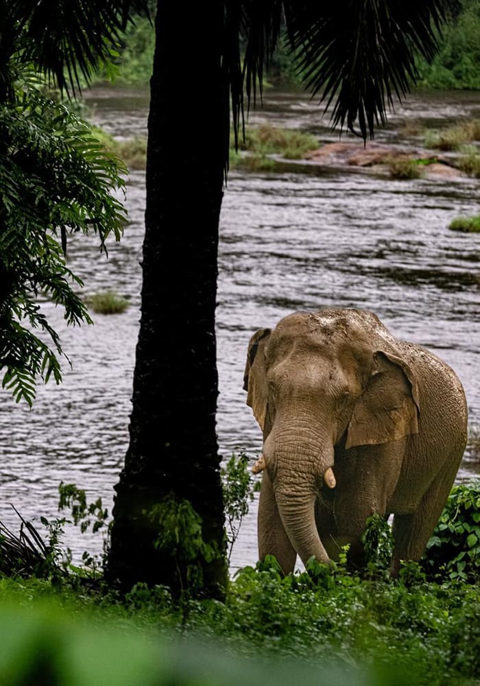 home-carousal-photo (5)