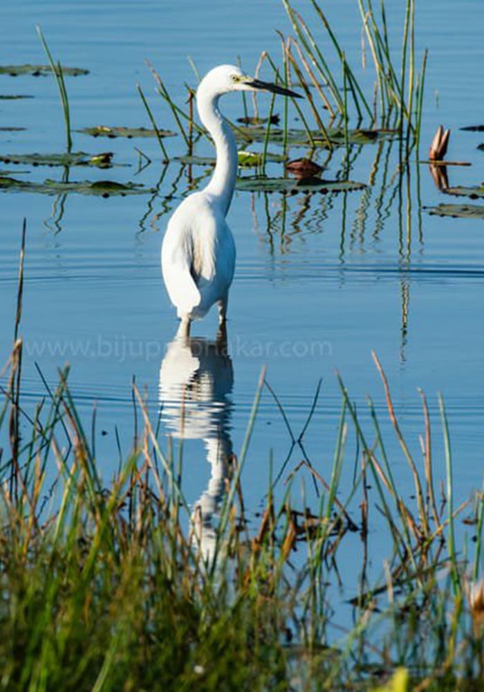 home-carousal-photo (6)