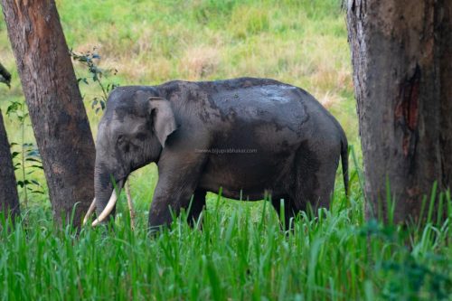 IMG-20210520-WA0022-1