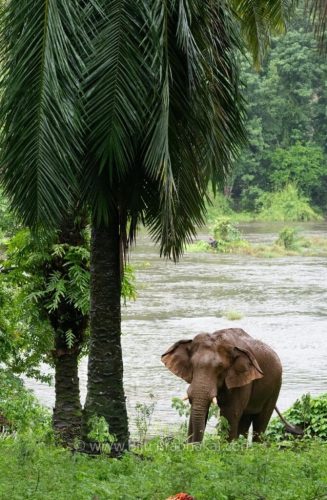 Athirappilli-Clicks-2024-2