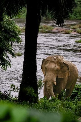 Athirappilli-Clicks-2024-3