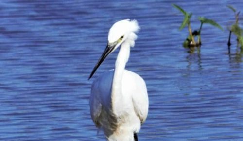 IMG-20180910-WA0063-1-e1537513595727