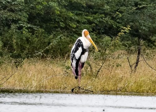 IMG-20181230-WA0053-768x552