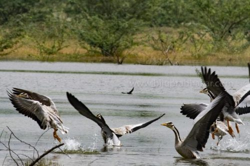 IMG-20181230-WA0108-768x512