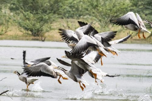 IMG-20181230-WA0109-768x512