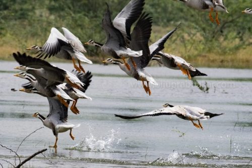 IMG-20181230-WA0110-768x512