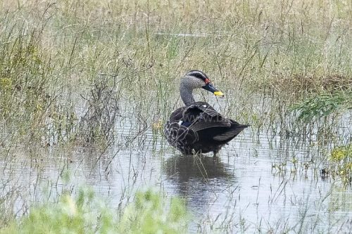 IMG-20181230-WA0127-768x512