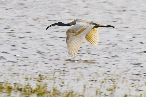 IMG-20181230-WA0140-768x512