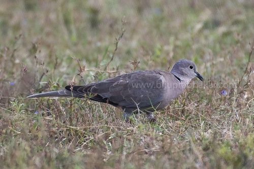 IMG-20181230-WA0146-768x512