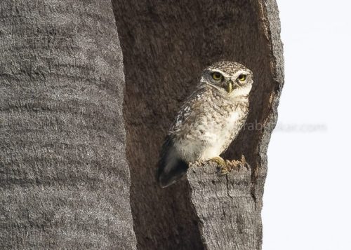 IMG-20181230-WA0147-768x549