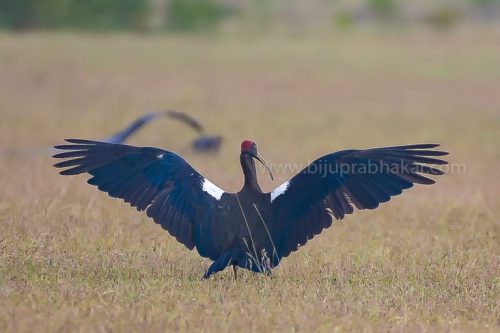 IMG-20181230-WA0153-768x512