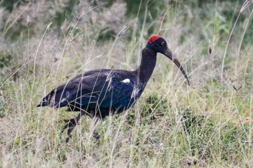 IMG-20181230-WA0156-768x512