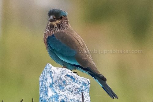 IMG-20181230-WA0163-768x512