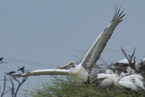 IMG-20181230-WA0170-768x512