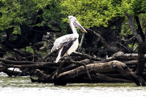 IMG-20181230-WA0171-768x512