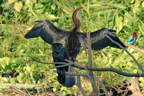 IMG-20190216-WA0036-1024x682