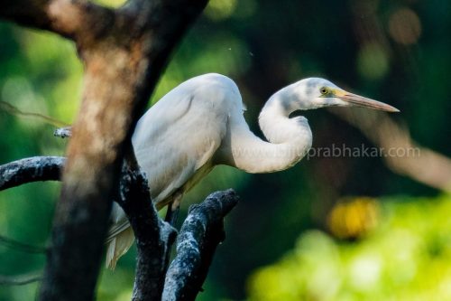 IMG-20190216-WA0039-1024x682