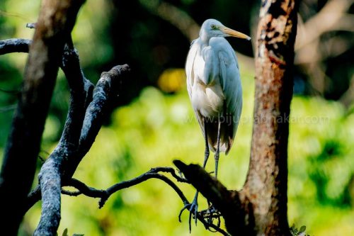 IMG-20190216-WA0040-1024x682