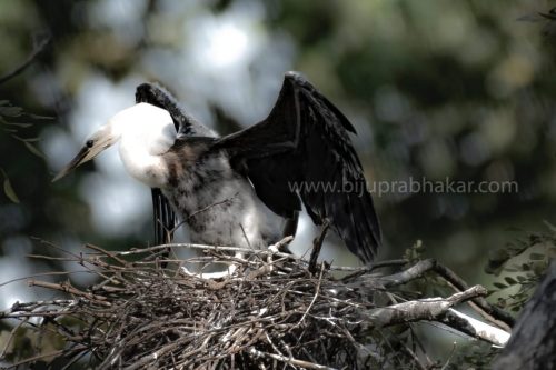 IMG-20190216-WA0042-1024x682