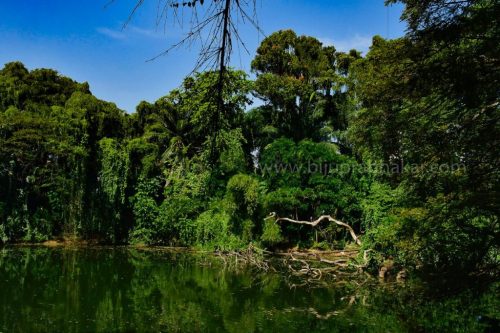 IMG-20190216-WA0043-1024x682