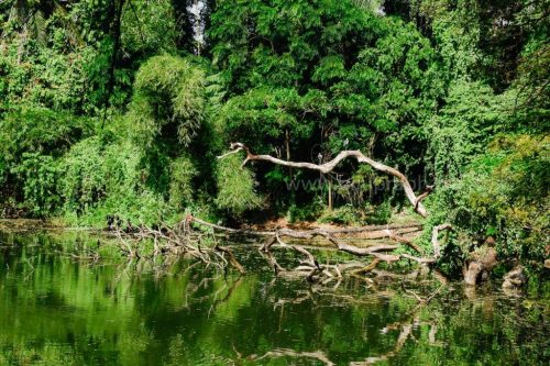 IMG-20190216-WA0044-1024x682