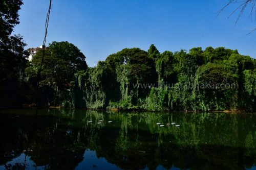 IMG-20190216-WA0045-1024x682