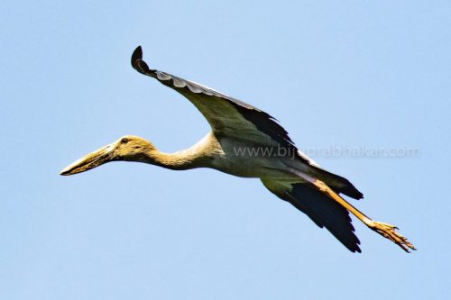 IMG-20190216-WA0047-1024x682