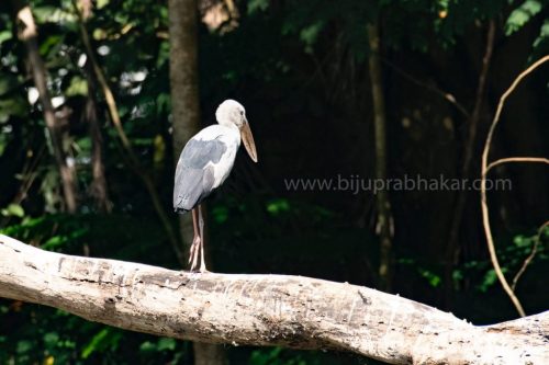 IMG-20190216-WA0048-1024x682