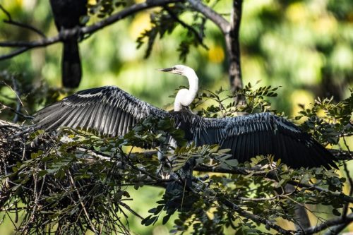 IMG-20190216-WA0049-1024x682