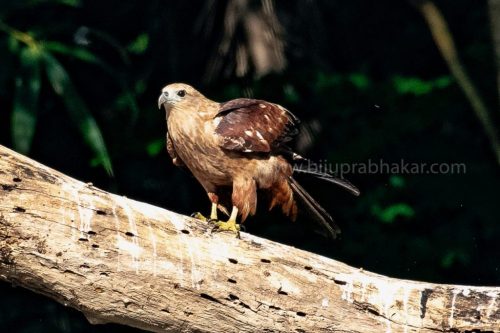 IMG-20190216-WA0050-1024x682