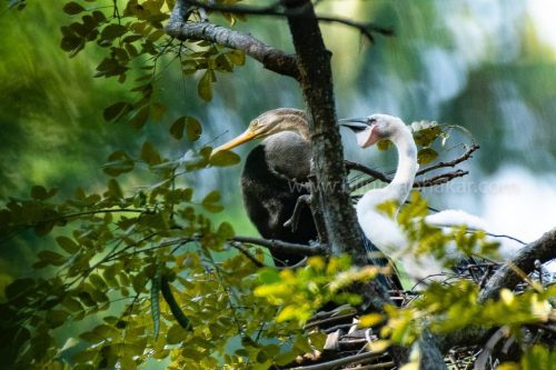 IMG-20190216-WA0052-1024x682