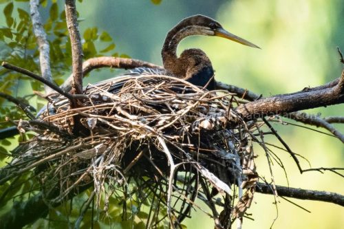 IMG-20190216-WA0053-1024x682