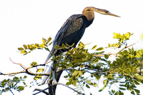 IMG-20190216-WA0056-1024x682