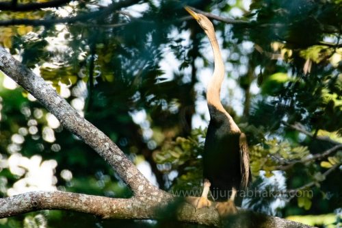 IMG-20190216-WA0058-1024x682