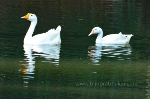 IMG-20190216-WA0059-1024x682