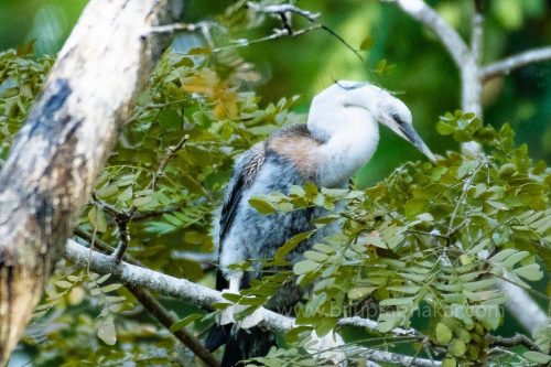 IMG-20190216-WA0060-1024x682