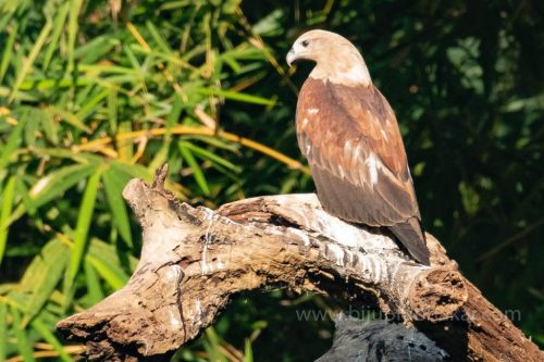 IMG-20190216-WA0061-1024x682