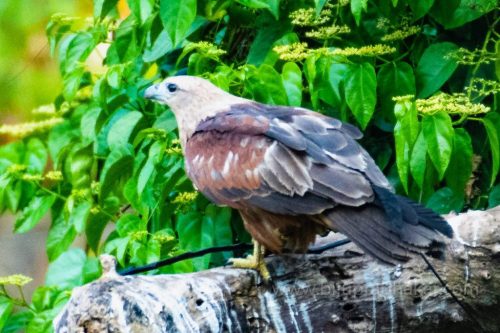 IMG-20190216-WA0062-1024x682