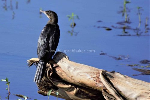 img-20180909-wa00686657452463722826320-1024x682