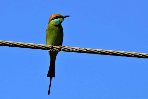 img-20180909-wa00699053263719299877902-1024x682