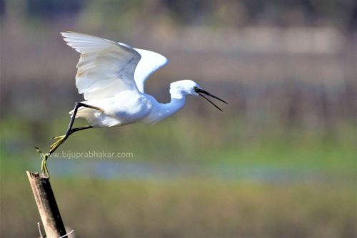 img-20180909-wa00704417466427288954183-1024x685