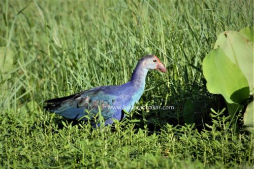 img-20180909-wa00714693524444144616561-1024x682