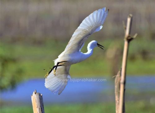 img-20180909-wa00725116900532261084774-1024x745