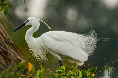 img-20190728-wa00369157672915135222801-1024x682