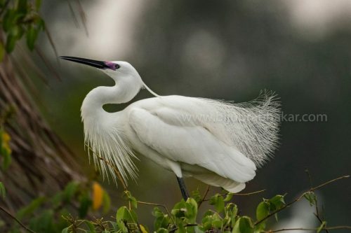 img-20190728-wa00381600926591720077907-1024x682