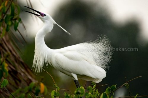 img-20190728-wa00392944484205020455183-1024x682