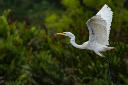 img-20190728-wa00404260251615420793422-1024x682